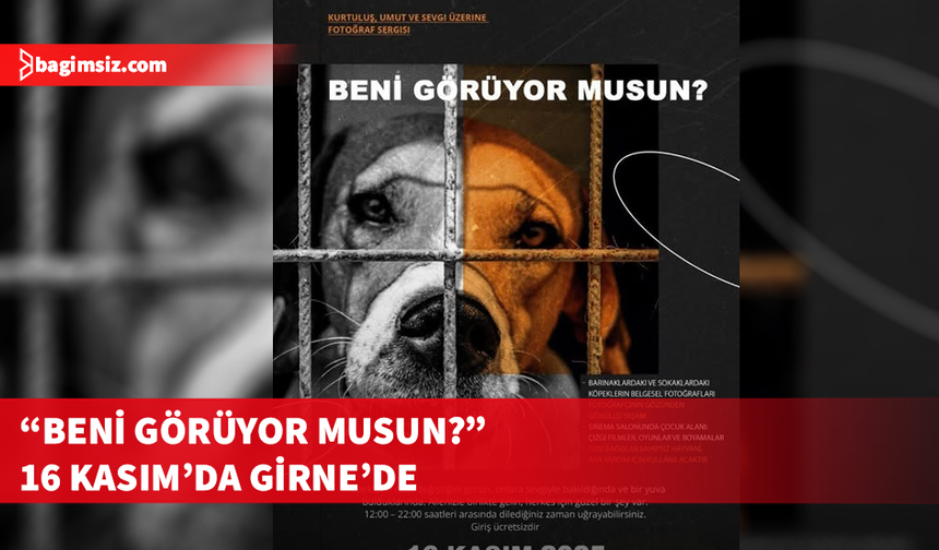 Donskaya’dan sahipsiz hayvanlar yararına sergi