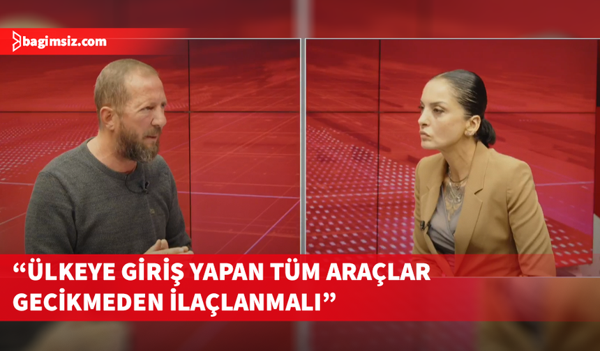 Çetereisi: Rum tarafında şap hastalığının bulunduğu ifade ediliyor