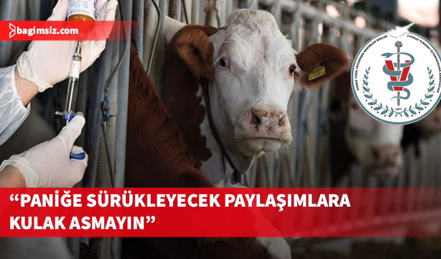 Veterinerlerden şap açıklaması: Hastalık yerli et ve süt ürünü tüketilmesi için risk taşımaz..