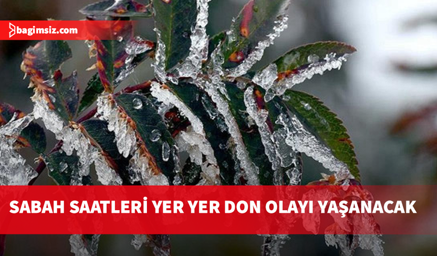 Yarın, pazar ve pazartesi sabah saatlerinde don olayı bekleniyor