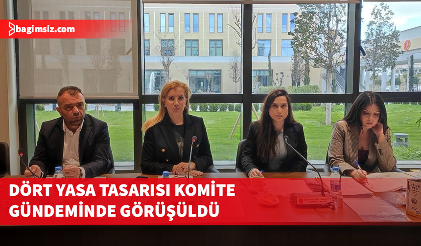 Ekonomi, Maliye, Bütçe ve Plan Komitesi, dört yasa tasarısını görüştü