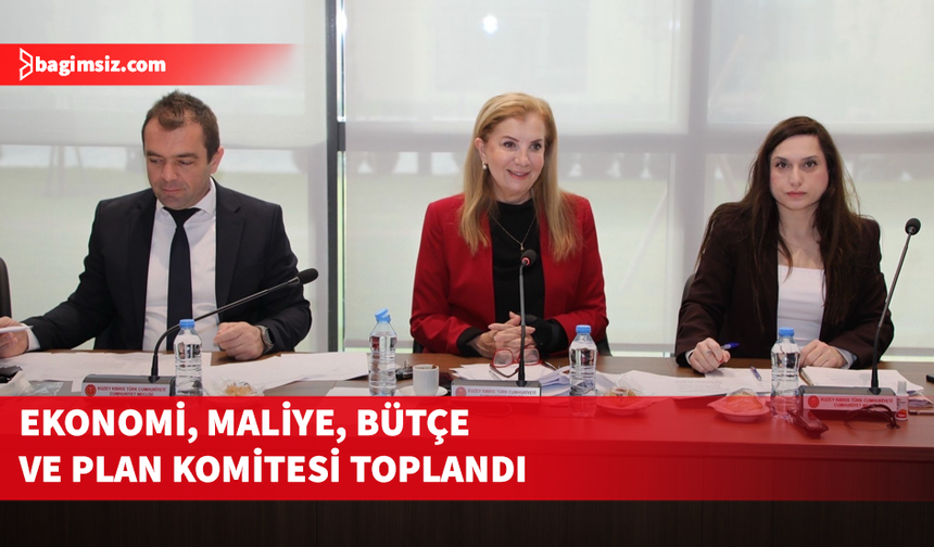 Ekonomi, Maliye, Bütçe ve Plan Komitesi toplandı