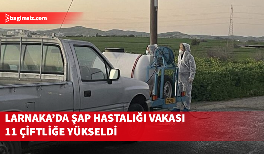 Larnaka’da 11 çiftlikte şap hastalığı tespit edildi