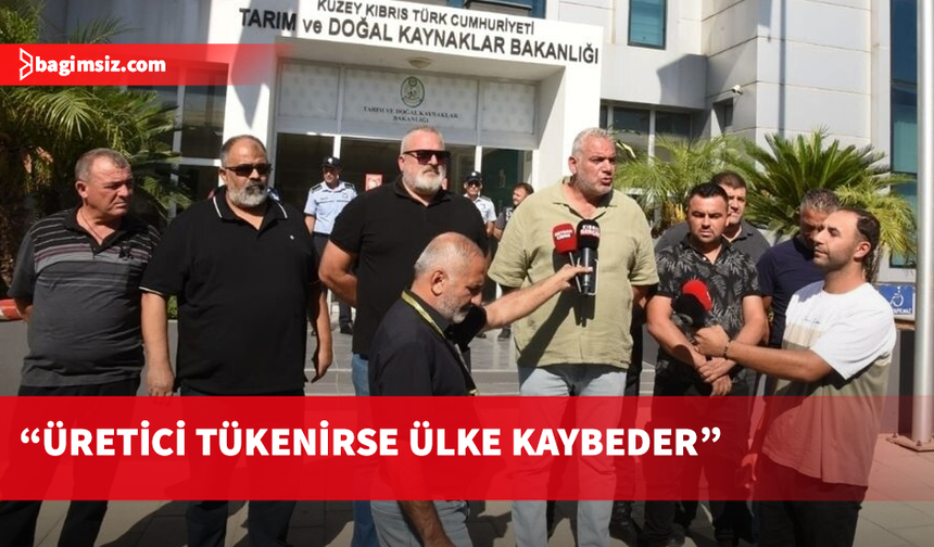 Hayvancılık sektörü alarm veriyor!