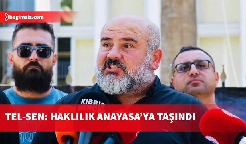 Tel-Sen Genel Sekreteri Gedik: Sesimiz Anayasa Mahkemesi'nde