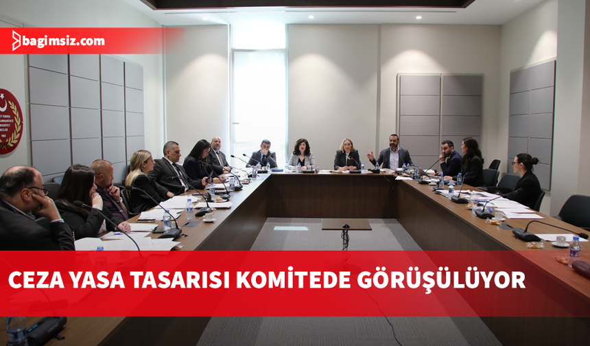 Hukuk, Siyasi İşler, Dışilişkiler ve Savunma Komitesi, Ceza (Değişiklik) Yasa Tasarısı’nı görüştü