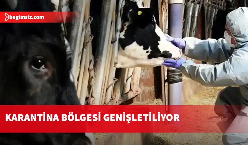 Dromolaksia’daki şap vakası sonrası yeni önlemler