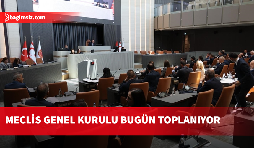 Meclis Genel Kurulu bugün beş yasa tasarısı, üç yasa önerisini görüşecek