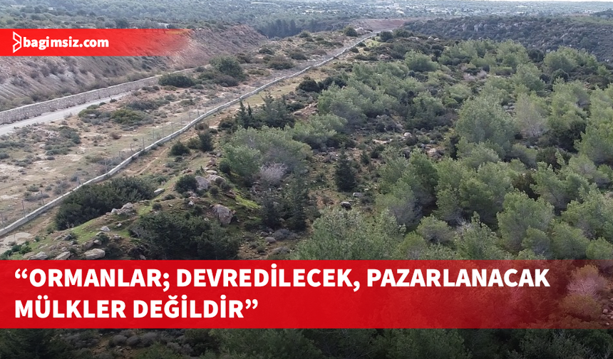 Ülkede faliyet gösteren 62 kuruluş, 3 bin 500 dönüm orman arazisinin devredilmesini ortak açıklamayla reddetti