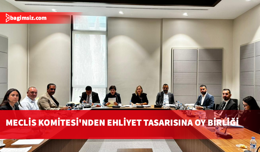 Hukuk, Siyasi İşler, Dışilişkiler ve Savunma Komitesi toplandı