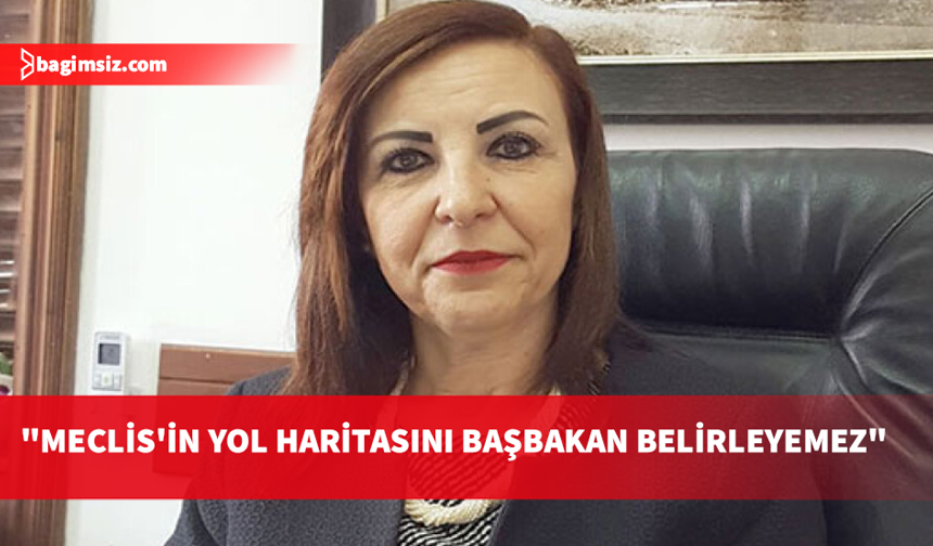 Emine Dizdarlı’dan Meclis açıklaması: Başbakan'ın Meclis idaresine ilişkin yetkisi yoktur