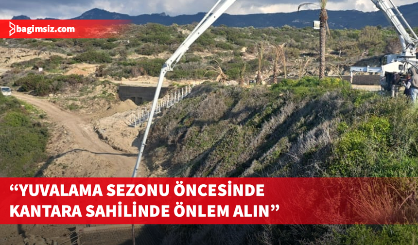 Kaplumbağaları Koruma Derneği’nden yetkililere çağrı