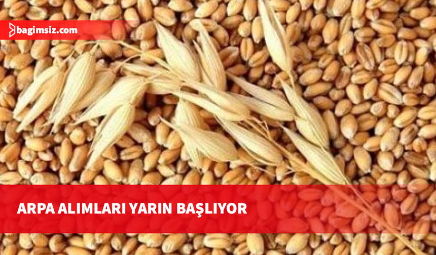 KTÇB: Üreticiler yarından itibaren arpa ürünlerini TÜK şubelerine ulaştırabilecek