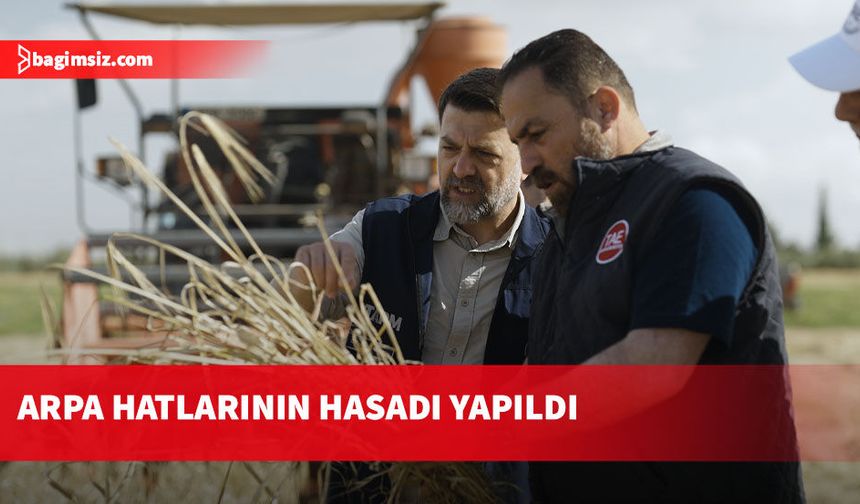 Arpa çeşit adaylarının hasadı yapıldı