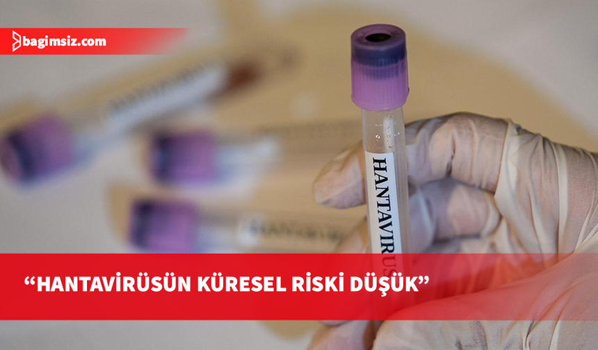DSÖ: Hantavirüsün küresel nüfus için riski hala düşük