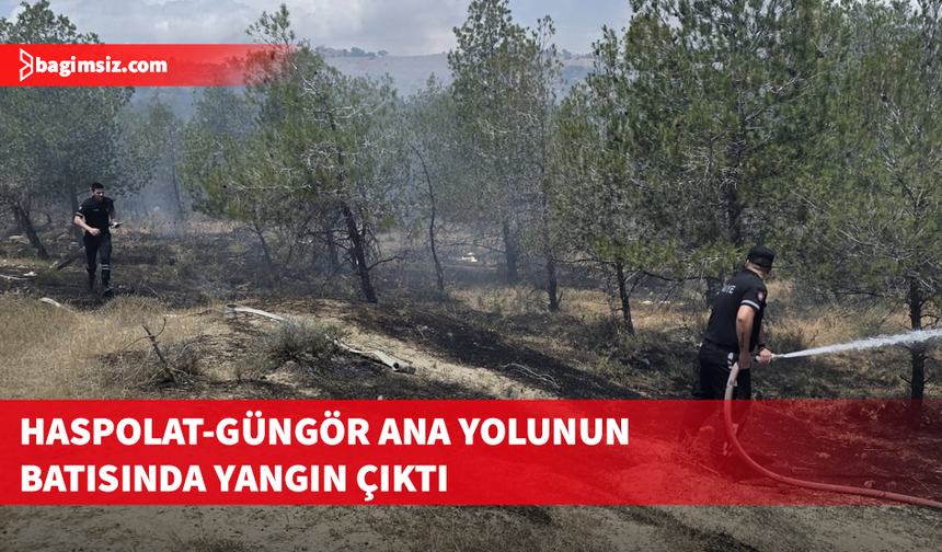 Haspolat - Güngör ana yolunun batısındaki ormanlık alanda yangın.. Soğutma sürüyor