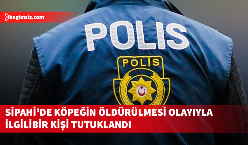 Sipahi'de köpeğin öldürülmesi olayıyla ilgili 66 yaşında bir kişi tutuklandı