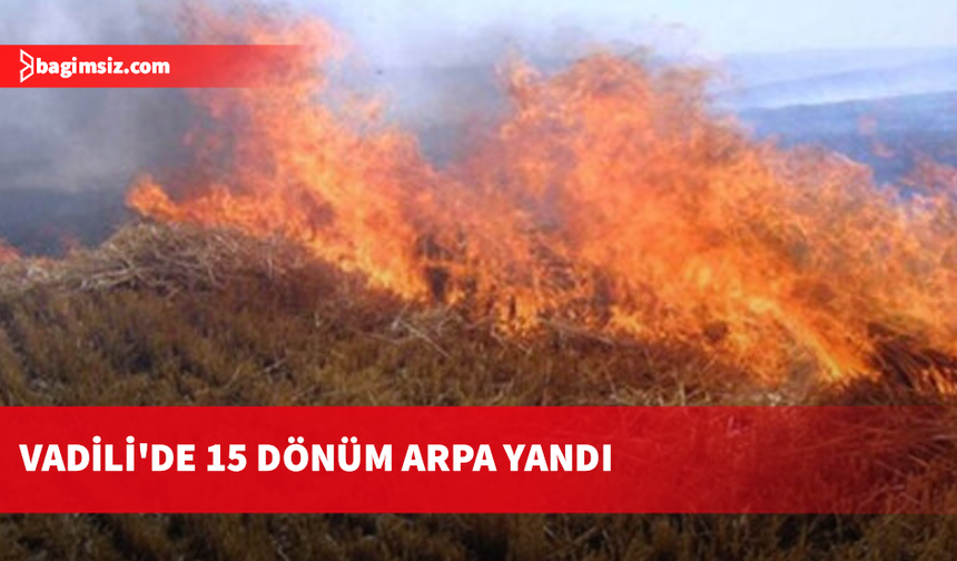 Vadili'de 15 dönüm arpa yandı