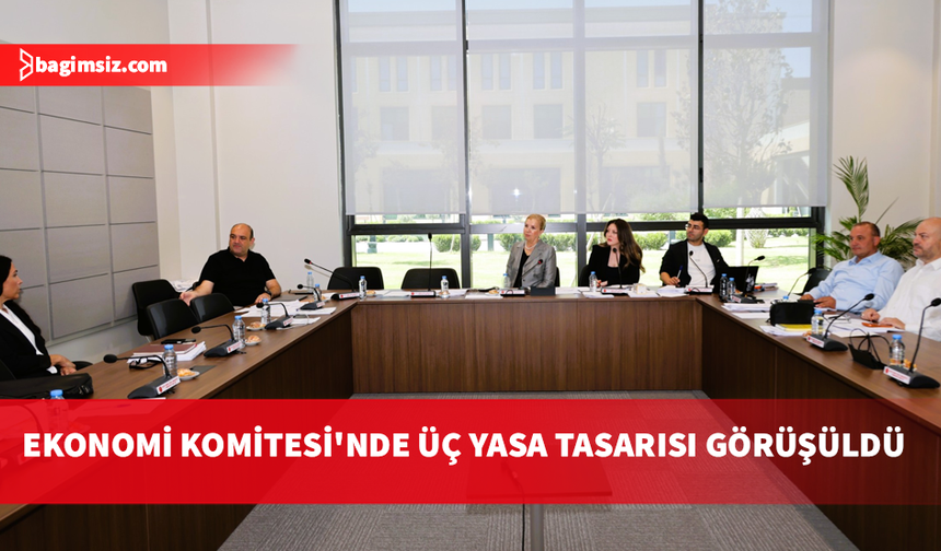 Ekonomi, Maliye, Bütçe ve Plan Komitesi üç yasa tasarısını görüştü