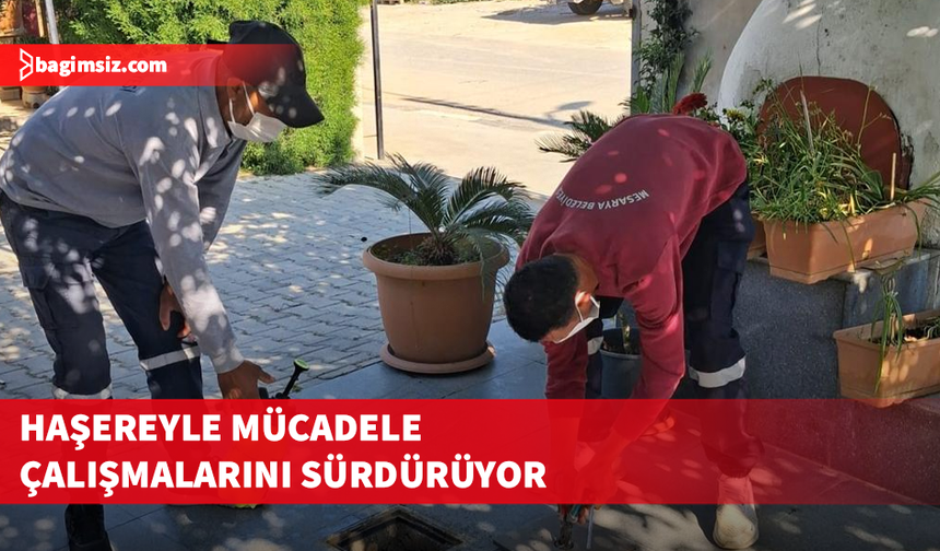 Mesarya Belediyesi haşereyle mücadele çalışmalarını sürdürüyor