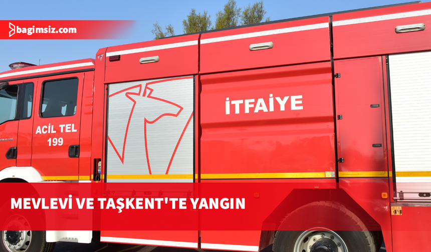 İki ayrı bölgede çıkan yangın zarara neden oldu