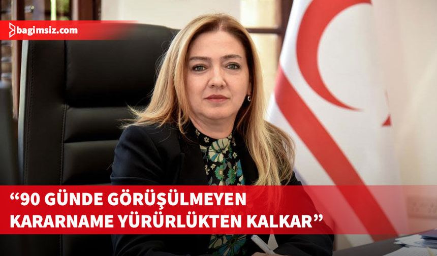 Ombudsman Varol: Karara bağlanmayan yasa gücünde kararnameler 90 günde yürürlükten kalkar