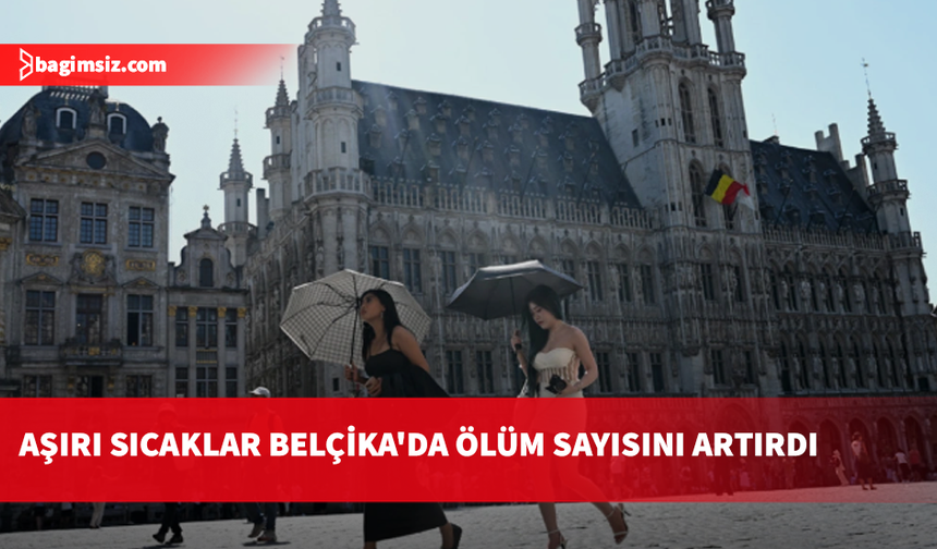 Belçika'da sıcak hava dalgası, 2000'den bu yana en fazla can kaybına yol açtı