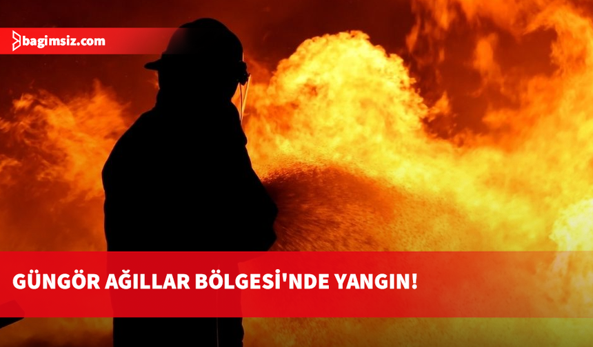 Güngör Ağıllar Bölgesi'nde yangın: Çok sayıda hayvan telef oldu, 2 kişi dumandan etkilendi