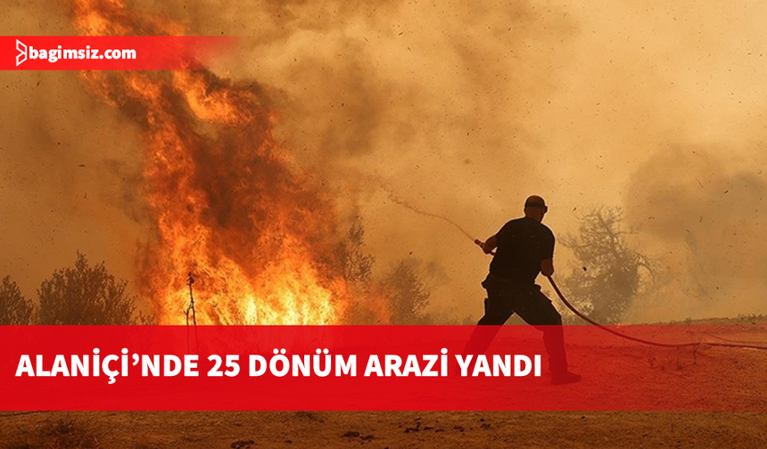 Alaniçi'nde çıkan yangında yaklaşık 25 dönüm tarım arazisi zarar gördü