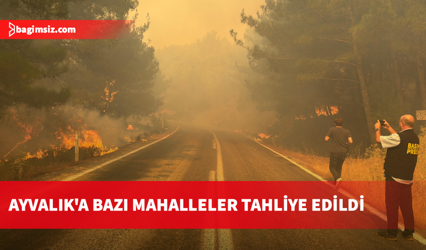 Balıkesir’de orman yangını