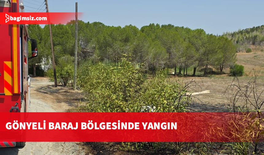 Gönyeli Baraj Bölgesinde yangın...