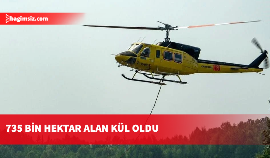 Kanada'nın Ontario eyaletindeki orman yangınlarında 735 bin hektarlık alan kül oldu