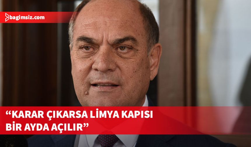 Karavezirler: Limya Geçiş Kapısı bir ayda açılışa hazır hale getirilebilir