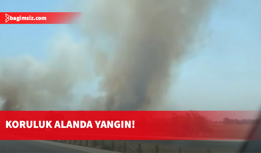 Turunçlu-Dörtyol arasında koruluk alanda yangın