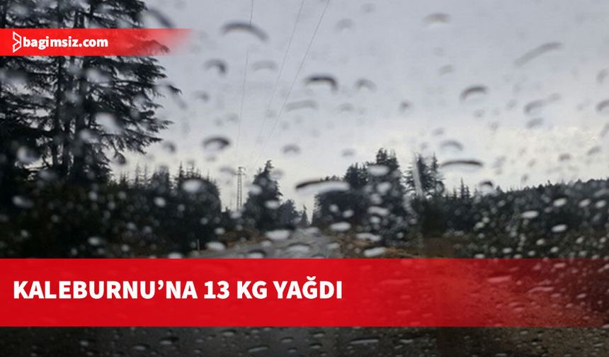Yaz yağmurları etkili oldu...