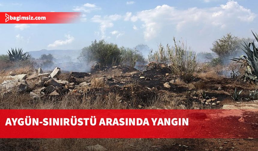Aygün – Sınırüstü köyleri arasında çıkan yangın söndürüldü