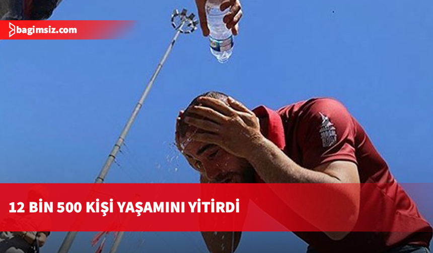 Almanya'da aşırı sıcaklar: 12 bin 500 kişi hayatını kaybetti