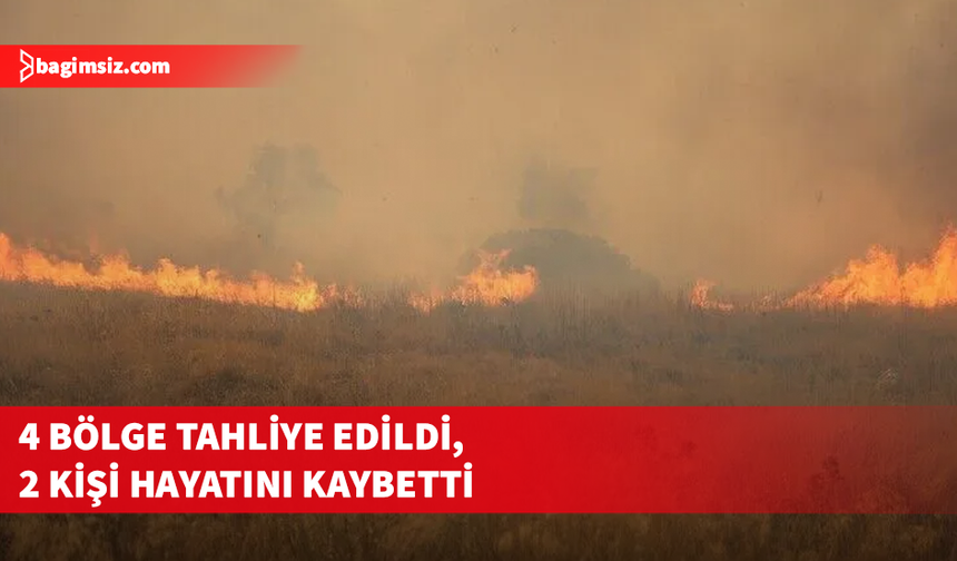 Yunanistan'ın Salamina Adası'nda orman yangını