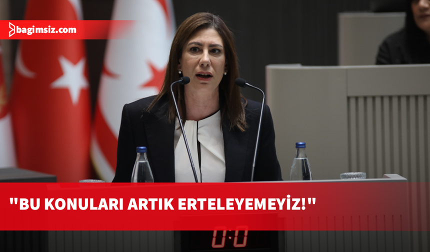 Sıla Usar İncirli: Kadına yönelik şiddet sadece iyi dileklerle geçiştirilemez