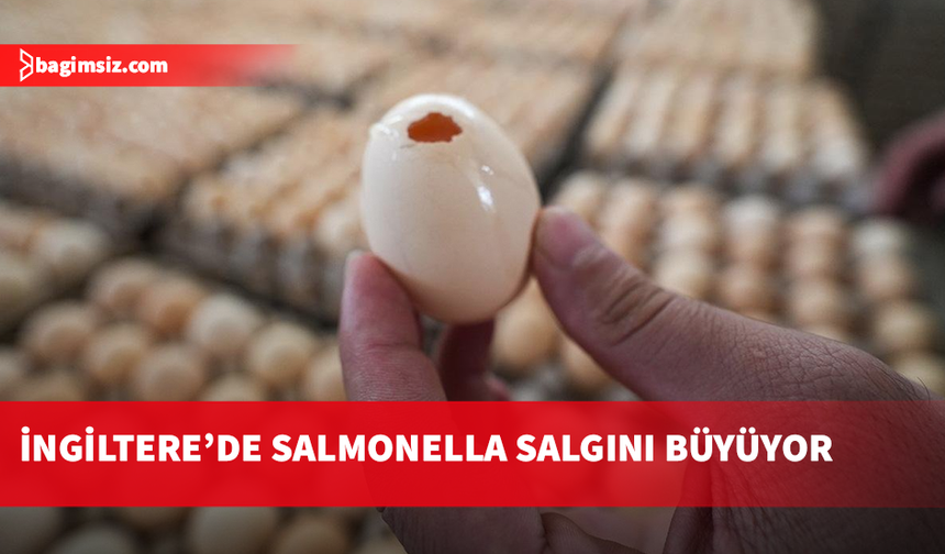 İngiltere'de salmonella salgınında 1 kişi öldü, 207 vaka tespit edildi