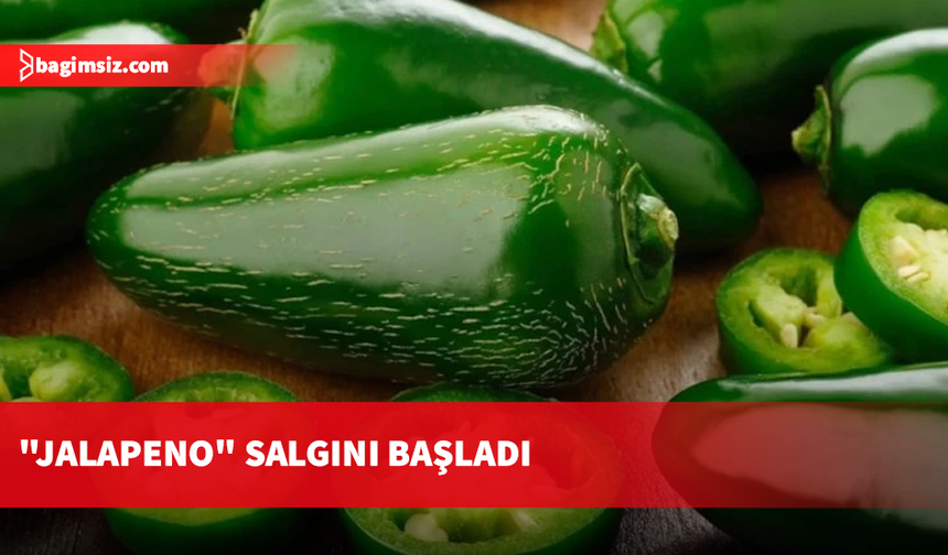 "Jalapeno" salgını başladı: Menülerden kaldırılıyor