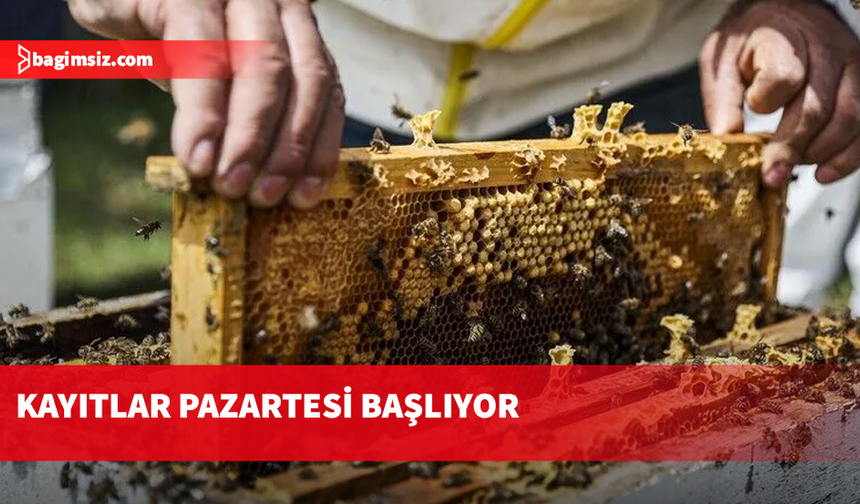 Arıcılar için Veteriner Dairesi’ne kayıtlar pazartesi başlıyor