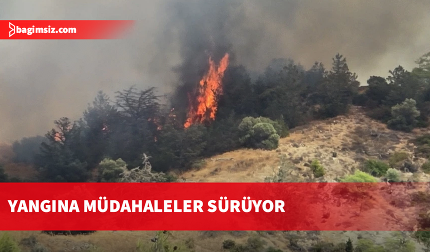 Yamaçköy-Tırmen arasında ormanlık alanda yangın