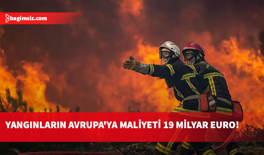Avrupa'da orman yangınları: 530 bin hektardan fazla alan kaybedildi