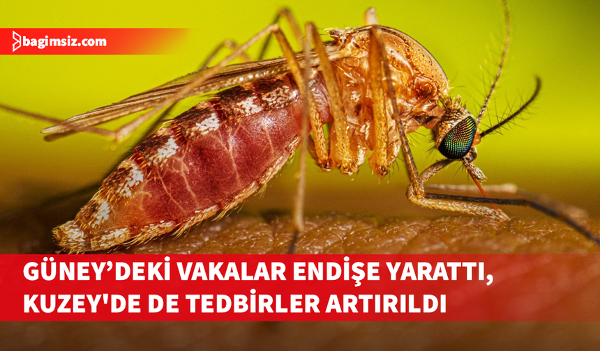 Sınıra yakın iki vaka sonrası tedbirler artırıldı