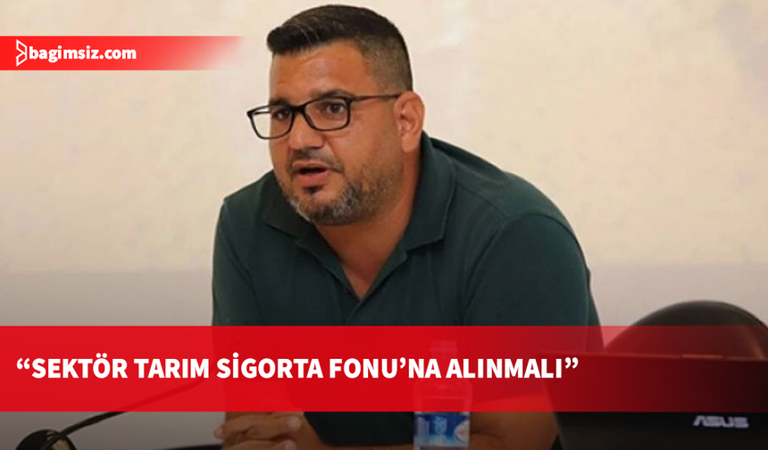 Sarpten'den kapsamlı balıkçılık politikası çağrısı: Her barınakta tam donanımlı kurtarma botu olmalı