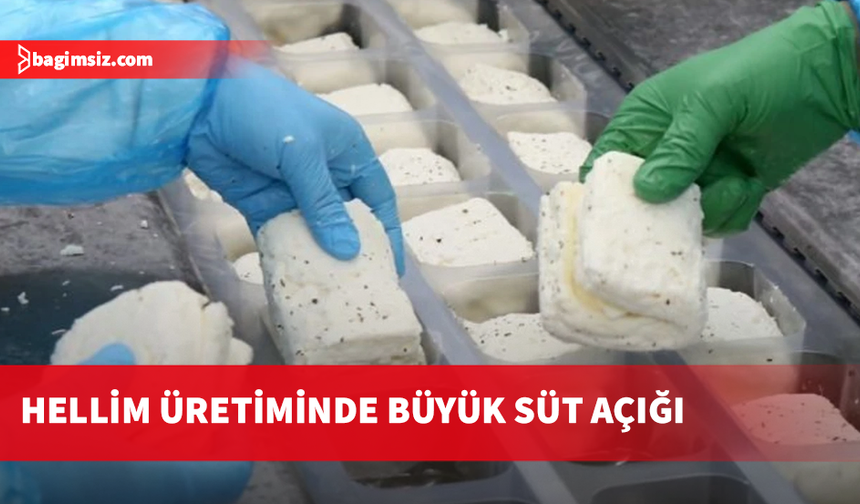 Yıllık süt açığı 144 milyon litre
