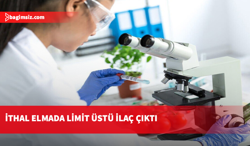 Haftalık gıda denetimleri: İthal ürünlerden elmada limit üstü bitki koruma ürünü
