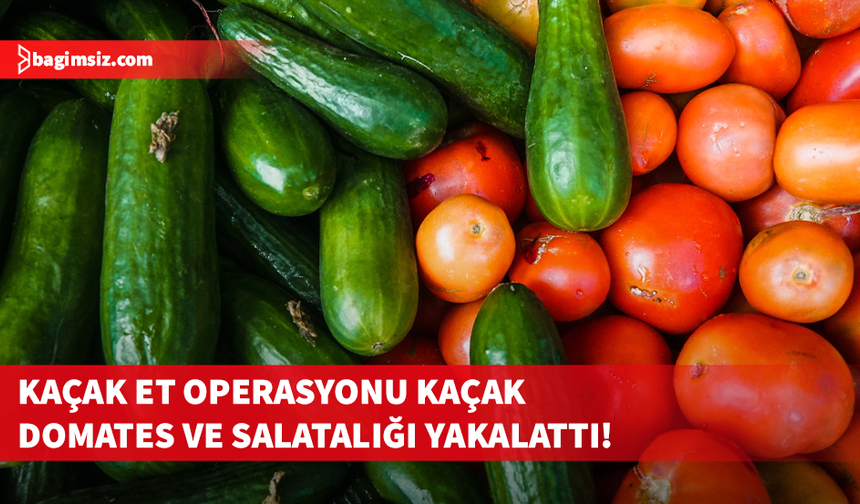Kamera kayıtları ele verdi: Güney Kıbrıs’tan kaçak domates ve salatalıklar getirilmiş!