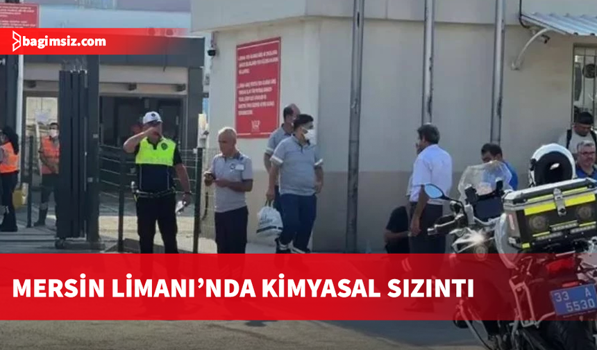 Mersin Limanı'nda konteynerin üzerine iş makinesi devrildi